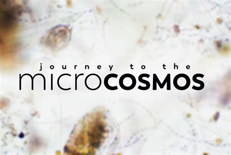 Journey to the Microcosmos! A Fantastic Educational Adventure for Budding Scientists!